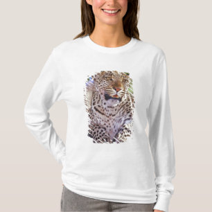 Africa, Botswana, Okvango Delta, wild leopard. 2 T-Shirt