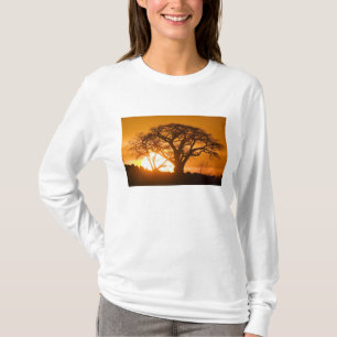 Africa, Botswana, Setting sun silhouettes Baobab T-Shirt