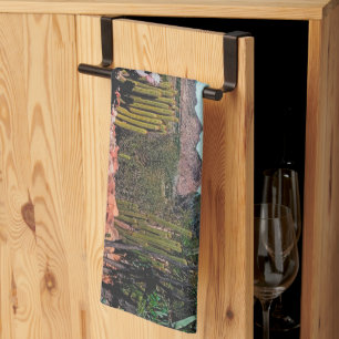 Africa Desert Landscape Nature Cactus Plants Kitchen Towel