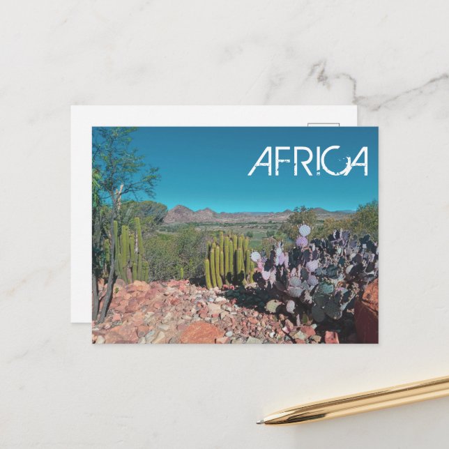 Africa Desert Landscape Nature Cactus Plants Postcard (Front/Back In Situ)