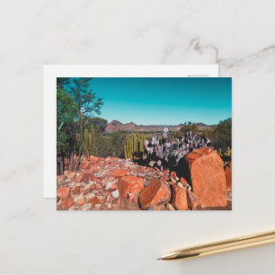 Africa Desert Landscape Nature Cactus Plants Postcard