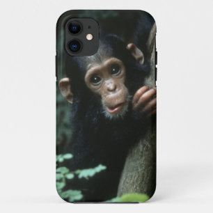 Africa, East Africa, Tanzania, Gombe National iPhone 11 Case