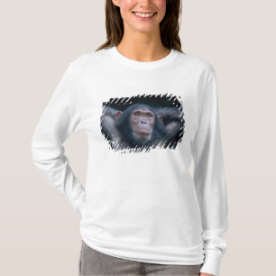 Africa, East Africa, Tanzania, Gombe National T-Shirt
