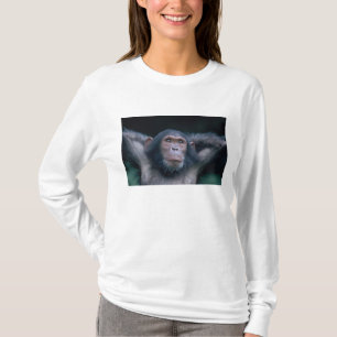 Africa, East Africa, Tanzania, Gombe National T-Shirt