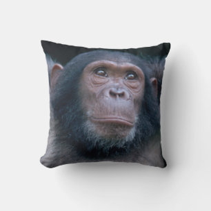 Africa, East Africa, Tanzania, Gombe National Throw Pillow