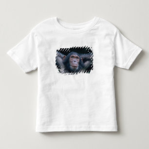 Africa, East Africa, Tanzania, Gombe National Toddler T-shirt