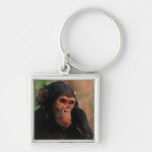 Africa, East Africa, Tanzania Keychain