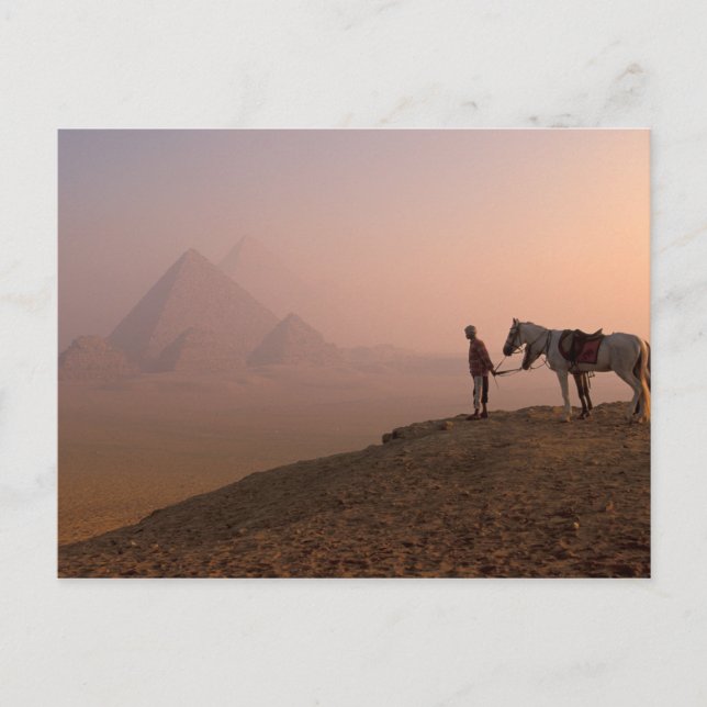 Africa, Egypt, Cairo, Giza, Giza pyramids at Postcard (Front)