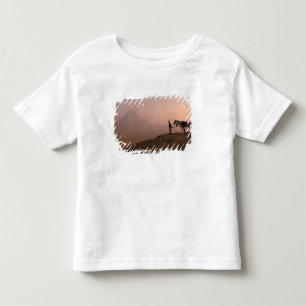 Africa, Egypt, Cairo, Giza, Giza pyramids at Toddler T-shirt