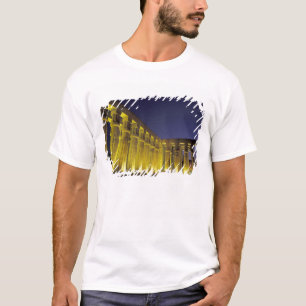 Africa, Egypt, Luxor. Sun court of Amenhotep T-Shirt