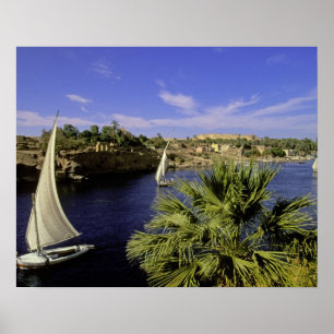 Africa, Egypt, Upper Egypt, Aswan. Feluccas 2 Poster