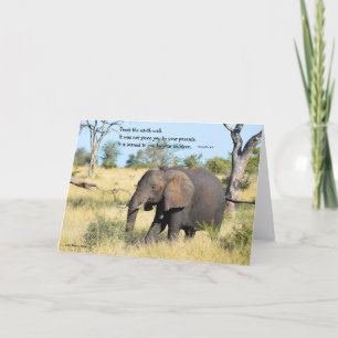 Africa-Elephant and Kenyan Proverb Thank You Card