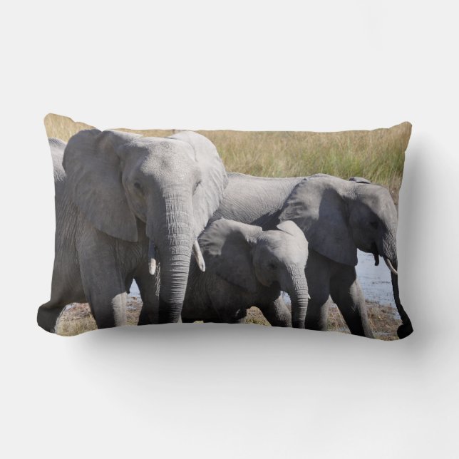 Africa Elephant Herds Lumbar Pillow (Front)
