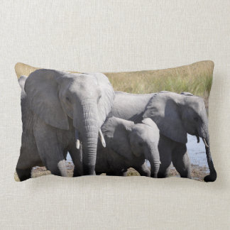 Africa Elephant Herds Lumbar Pillow