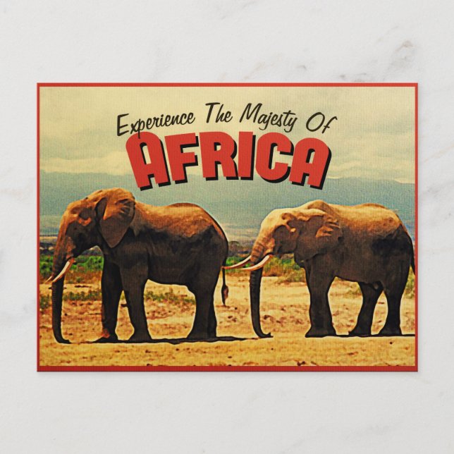 Africa Elephants Vintage Travel Postcard (Front)