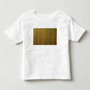Africa, Ghana, Accra. National Museum, regarded 2 Toddler T-shirt