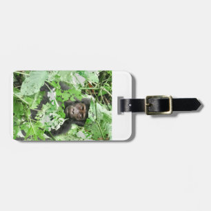 Africa - Gorilla Baby Luggage Tag