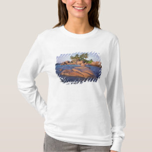 Africa, Indian Ocean, Seychelles, Praslin T-Shirt