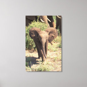 Africa, Kenya, Amboseli National Park. African 2 Canvas Print