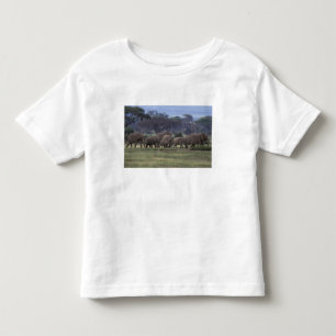 Africa, Kenya, Amboseli National Park. African 3 Toddler T-shirt