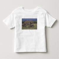 Africa, Kenya, Amboseli National Park. African 4