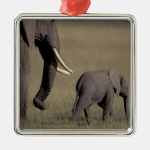Africa, Kenya, Amboseli National Park. African Metal Ornament