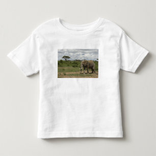 Africa, Kenya, Amboseli National Park, elephant, Toddler T-shirt