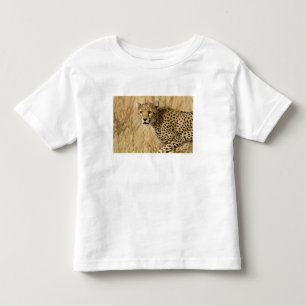 Africa. Kenya. Cheetah at Samburu NP. Toddler T-shirt