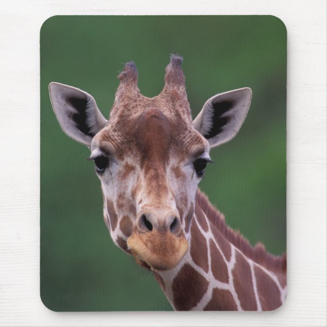 Africa, Kenya, Impala Ranch. Reticulated Mouse Pad (Front)
