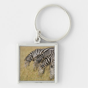 Africa, Kenya, Maasai Mara Keychain
