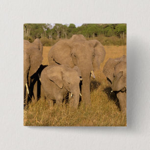 Africa, Kenya, Masai Mara. African Elephant 2 Inch Square Button