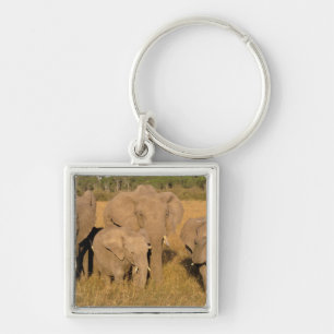 Africa, Kenya, Masai Mara. African Elephant Keychain