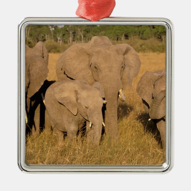 Africa, Kenya, Masai Mara. African Elephant Metal Ornament (Front)