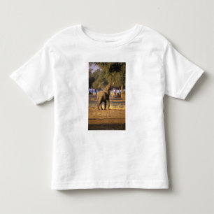 Africa, Kenya, Masai Mara. Elephant (Loxodonta Toddler T-shirt