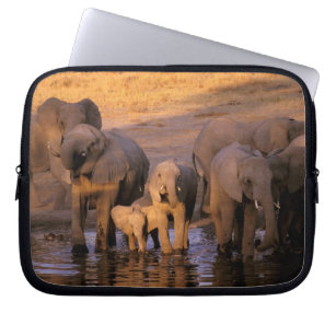 Africa, Kenya, Masai Mara. Elephants (Loxodonta Laptop Sleeve