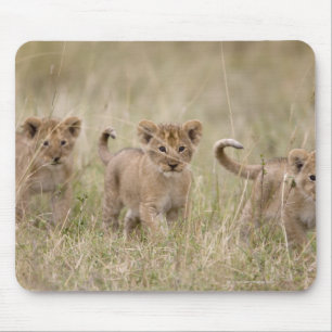 'Africa, Kenya, Masai Mara Game Reserve' Mouse Pad