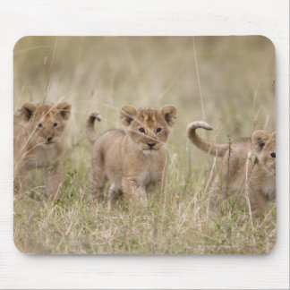 'Africa, Kenya, Masai Mara Game Reserve' Mouse Pad