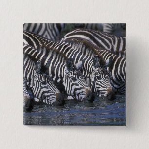Africa, Kenya, Masai Mara Game Reserve, Plains 2 Inch Square Button