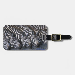 Africa, Kenya, Masai Mara Game Reserve, Plains Luggage Tag