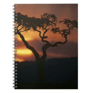 Africa, Kenya, Masai Mara Game Reserve, Setting Notebook