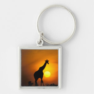 Africa, Kenya, Masai Mara. Giraffe (Giraffe Keychain