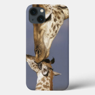 Africa, Kenya, Masai Mara. Giraffes (Giraffe iPhone 13 Case