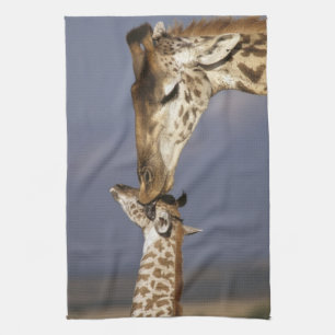 Africa, Kenya, Masai Mara. Giraffes (Giraffe Kitchen Towel