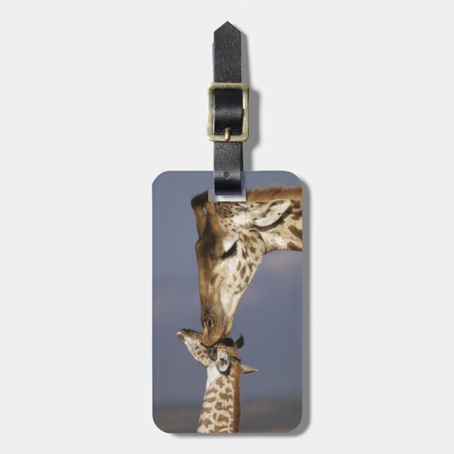 Africa, Kenya, Masai Mara. Giraffes (Giraffe Luggage Tag (Front Vertical)