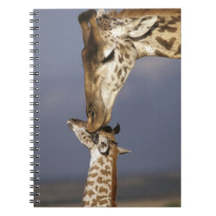 Africa, Kenya, Masai Mara. Giraffes (Giraffe Notebook