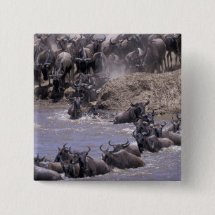 Africa, Kenya, Masai Mara National Park. 2 Inch Square Button