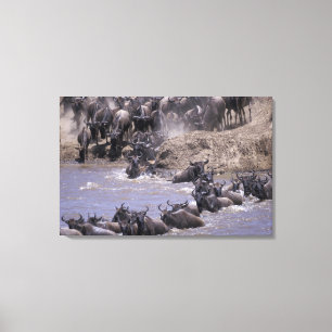 Africa, Kenya, Masai Mara National Park. Canvas Print