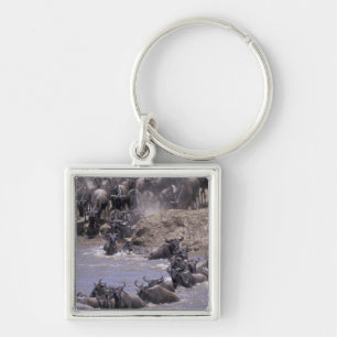 Africa, Kenya, Masai Mara National Park. Keychain