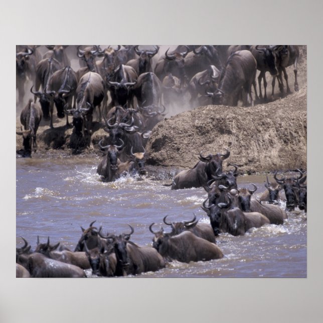 Africa, Kenya, Masai Mara National Park. Poster (Front)