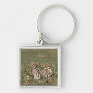 Africa; Kenya; Masai Mara; Three cheetah cubs Keychain